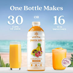 Smartfruit Tropical Harmony + Aloe – 100% Real Fruit Purée with Pineapple, Passion Fruit, Papaya & Guava – Great for Smoothies, Juice, Yogurt, Cocktails, Teas & More – High in Vitamin A & C – 48oz