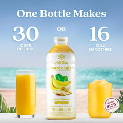 Smartfruit Sunny Banana + Oat Fiber – 100% Real Fruit Purée with Banana, Apple & Pineapple – Great for Smoothies, Juice, Yogurt, Cocktails, Teas & More – High in Vitamin A – 48oz