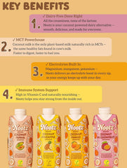 Nootz Organic Coconut Passionfruit Smoothie 11 Fl Oz, 12 Pack – Blend of Coconut and Passionfruit – Clean, Better-For-You, Harmless Ingredients - Natural Hydration with MCTs, Electrolytes and Vitamin C - Vegan, USDA Organic, Kosher & Halal