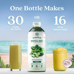 Smartfruit Harvest Greens + Detox – 100% Real Fruit Purée with Kiwi, Cucumber, Kale, Spinach, Lemongrass, Apple, Banana – Great for Smoothies, Juice, Yogurt, Cocktails, Teas & More – 48oz
