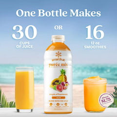 Smartfruit Tropical Harmony + Aloe – 100% Real Fruit Purée with Pineapple, Passion Fruit, Papaya & Guava – Great for Smoothies, Juice, Yogurt, Cocktails, Teas – High in Vitamin A & C – 2-Pk, 48oz Each