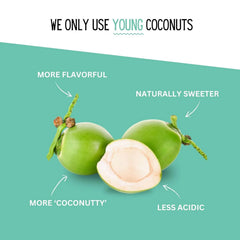Little Palm - Pure Coconut Water, Made from Young Coconuts, No Sugar Added, Non-GMO, Natural Hydration, Electrolytes, 16.9 fl oz, Packaging May Vary (24-Pack, Original)