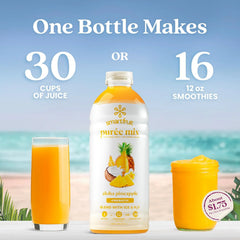 Smartfruit Aloha Pineapple + Prebiotic – 100% Real Fruit Purée with Pineapple, Banana, Apple & Coconut – Great for Smoothies, Juice, Yogurt, Cocktails, Teas – High in Vitamin A – 2-Pk, 48oz Each