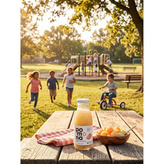 Pomona Organic Juices Pure Melon Juice, Cold Pressed Organic Juice, Non-GMO, No Sugar Added, Not from Concentrate, Gluten Free, Kosher Certified, Preservative Free, 8.4 Ounce (Pack of 12)