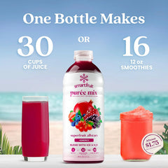 Smartfruit Superfruit All-Stars + Energy – 100% Real Fruit Purée with Blueberry, Pomegranate, Acai & Goji Berries – Great for Smoothies, Juice, Yogurt, Cocktails, Teas & More – 2-Pk, 48oz Each