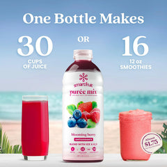 Smartfruit Blooming Berry + Antioxidants – 100% Real Fruit Purée with Strawberries, Blueberries, Raspberries – Great for Smoothies, Juice, Yogurt, Cocktails, Teas & More – High in Vitamin A & C – 48oz